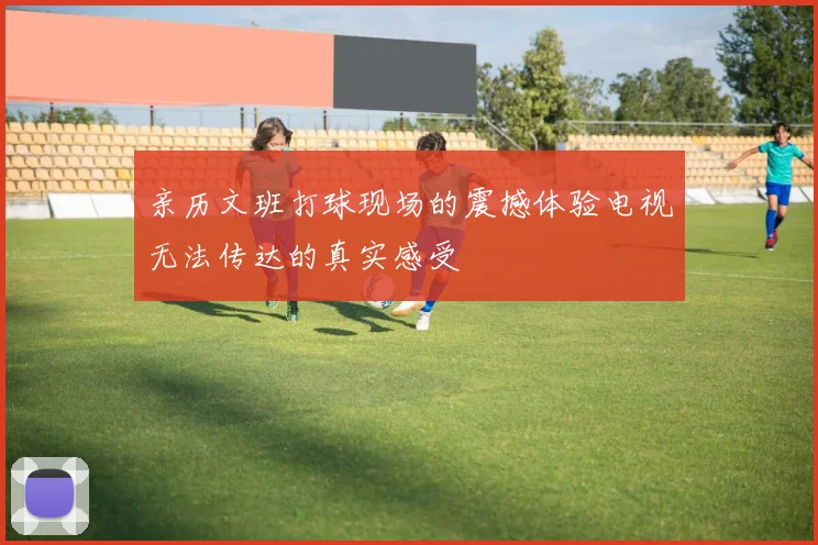 亲历文班打球现场的震撼体验电视无法传达的真实感受