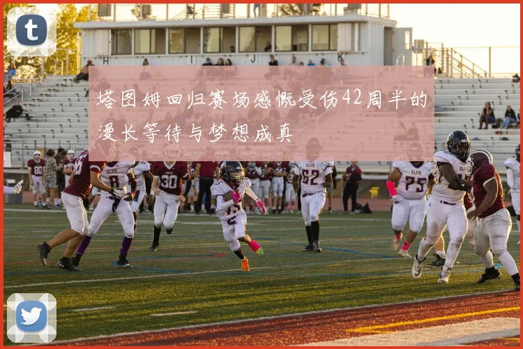 塔图姆回归赛场感慨受伤42周半的漫长等待与梦想成真