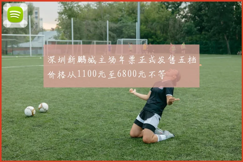 深圳新鹏城主场年票正式发售五档价格从1100元至6800元不等