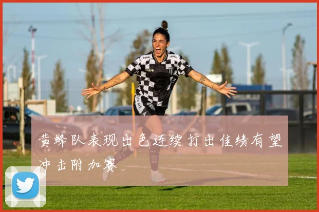 黄蜂队表现出色连续打出佳绩有望冲击附加赛