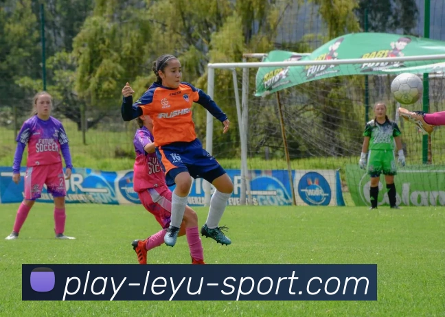 乐鱼体育APP 封面图